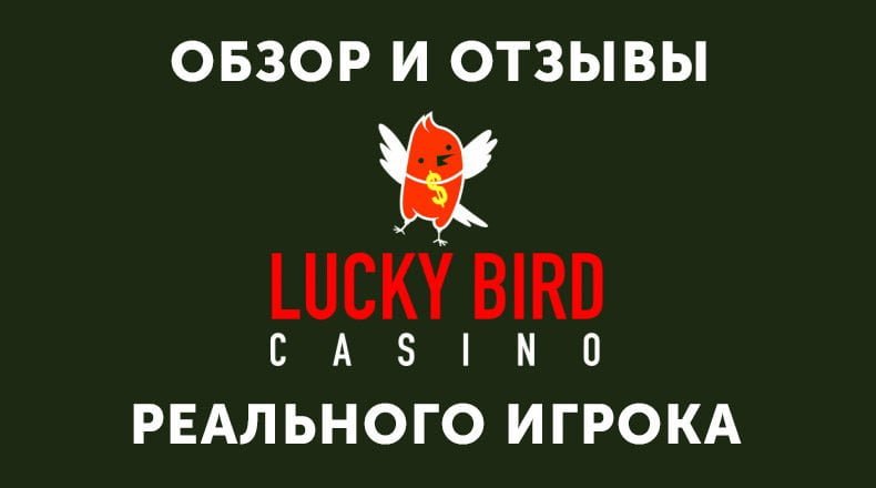 Казино Lucky Bird — обзор и отзывы