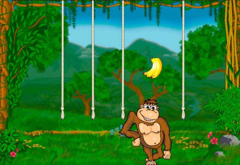 схемы выигрыша в игровом автомате crazy monkey