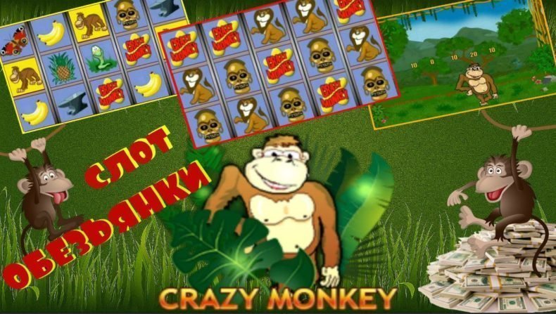 Как выиграть в Crazy Monkey ?
