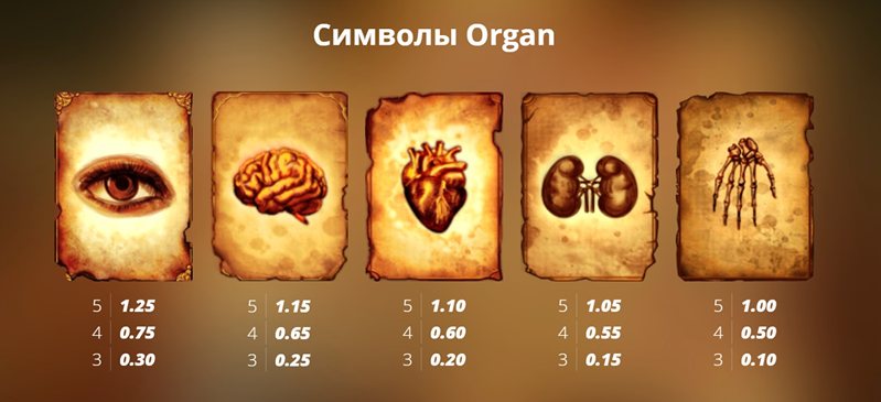 Символы слота Mental