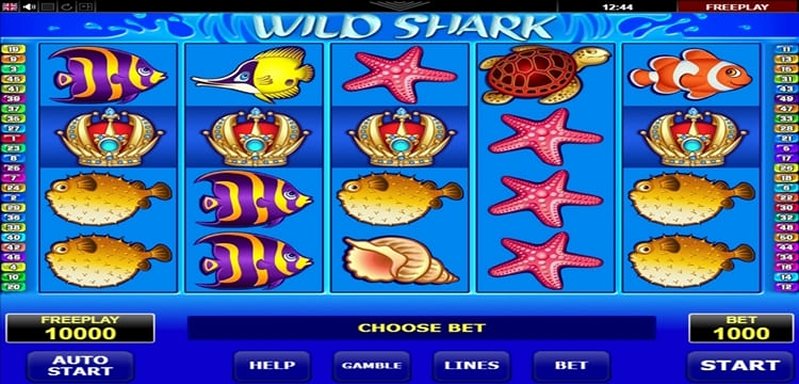Геймплей слота Wild Shark