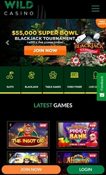 Мобверсия казино Wild