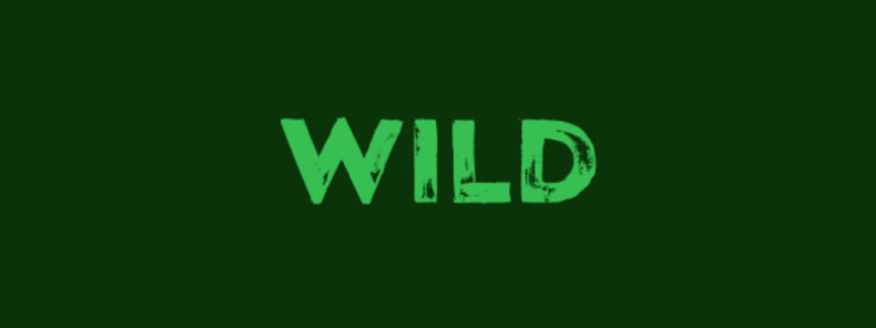 Обзор онлайн-казино Wild